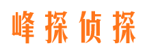 舞阳外遇出轨调查取证